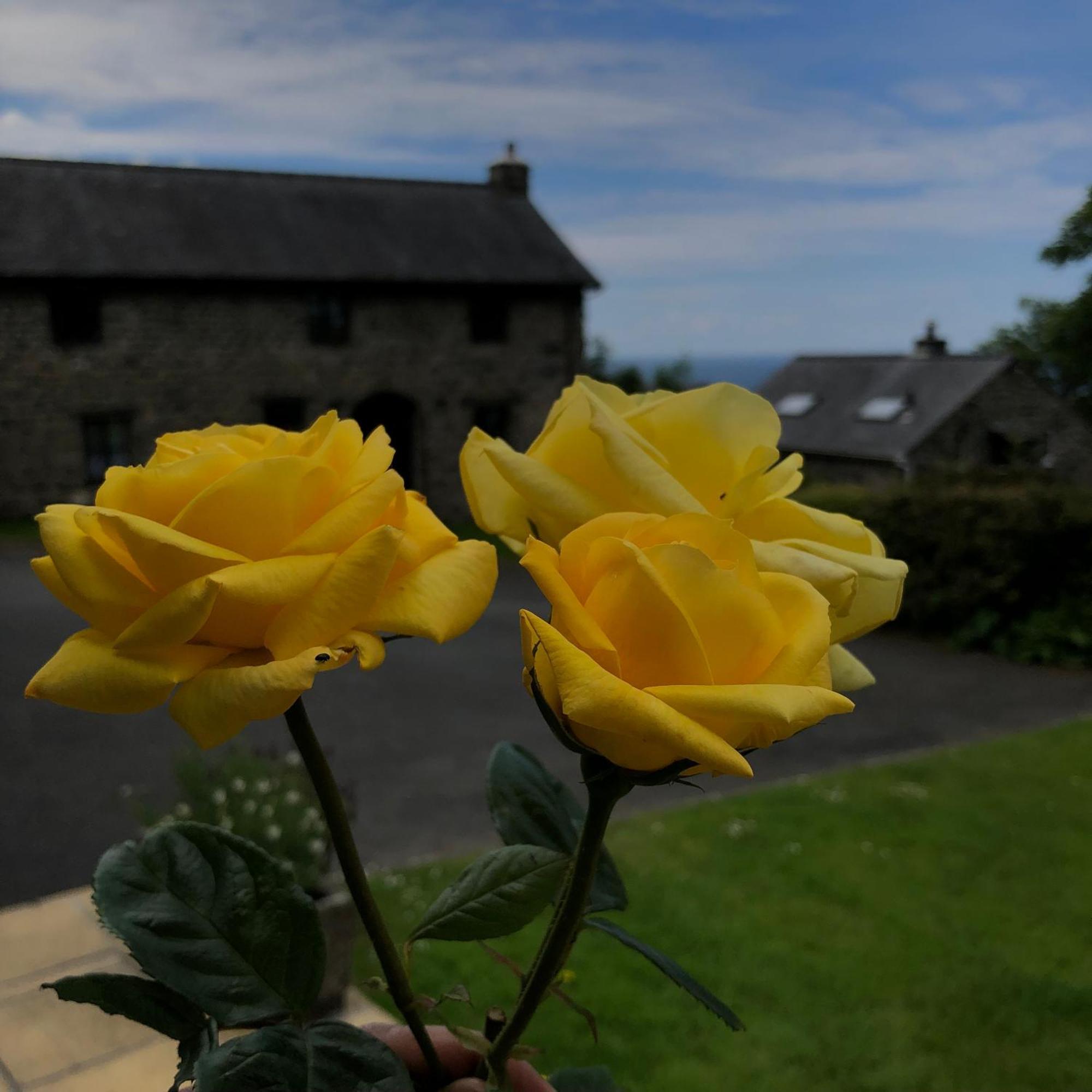 The Old Farmhouse B&B Dyffryn Ardudwy Exterior photo